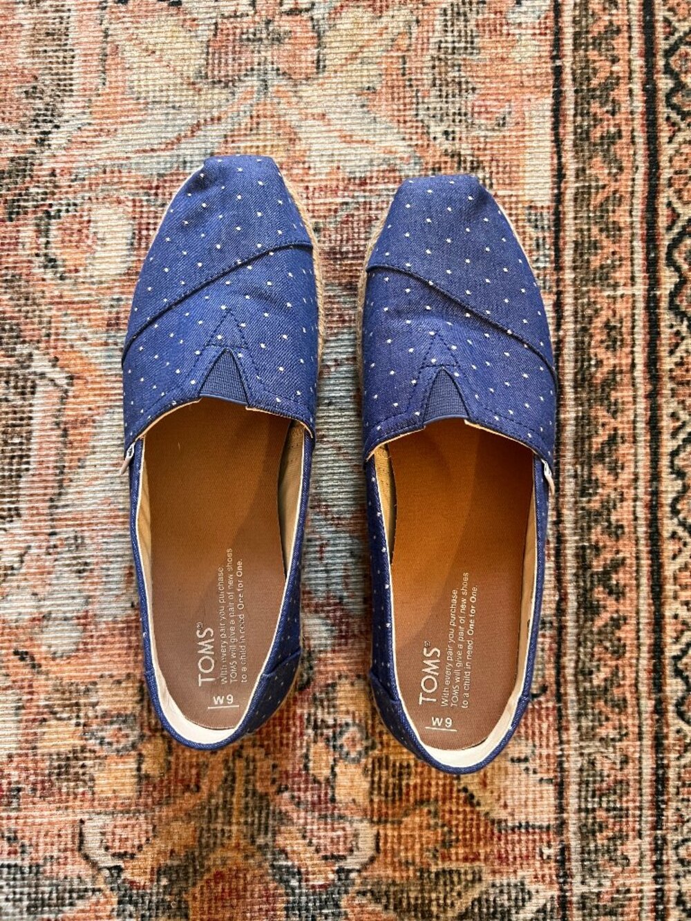 Toms Navy Polka Dot Canvas